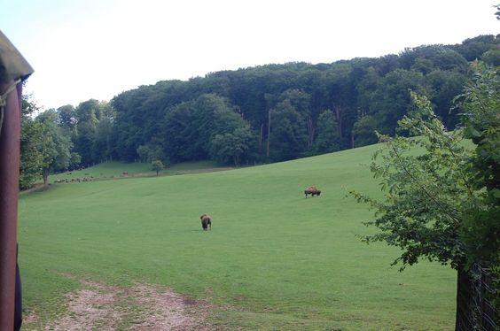 DSC_0049 [50%] [50%].JPG